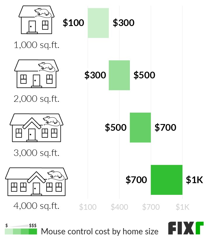 Cost to Get Rid of Mice in a 1,000, 2,000, 3,000, and 4,000 Sq.Ft. House (mobile)