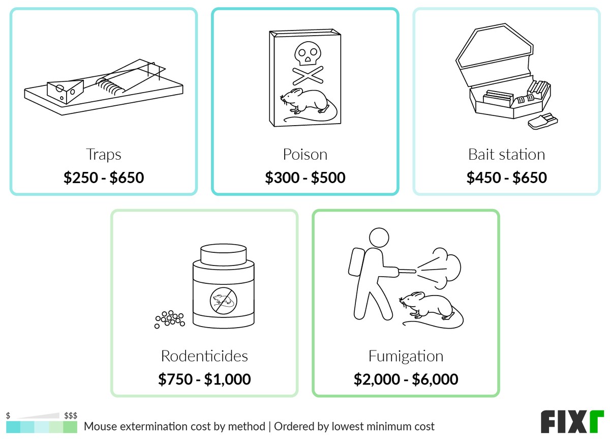 Mouse Control Cost With Mouse Traps, Poison, Bait Stations, Rodenticide, and Fumigation (desktop)