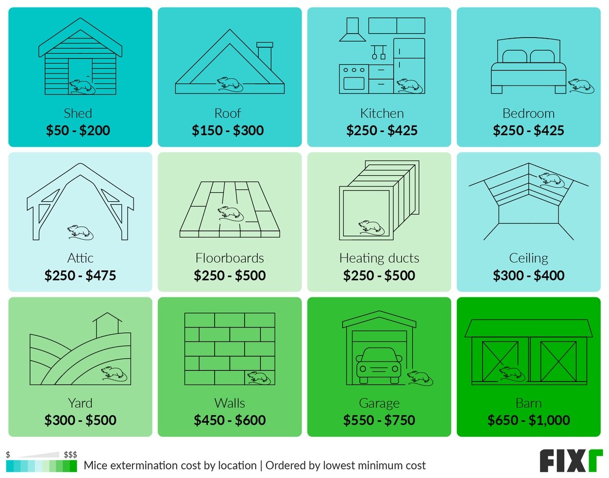 Mouse Extermination Cost by Location: Shed, Roof, Kitchen, Bedroom, Attic, Floorboards, Heating Ducts... (desktop)