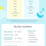 Newborn feeding schedule