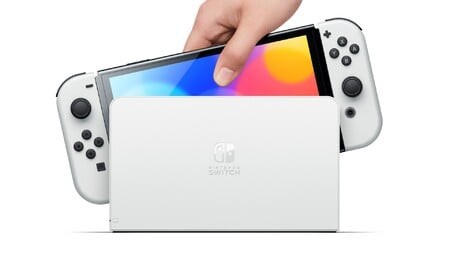 Nintendo Switch settings menu showing options for data management and system updates