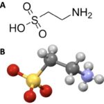 Taurine molecular structure for optimal daily intake understanding