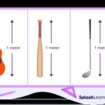 Various objects that are approximately one meter long, providing a visual reference for understanding its length