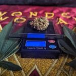 A small amount of cannabis on a scale