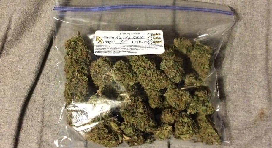 Ounce of marijuana highlighting 28 grams of cannabis, the standard for bulk purchases.