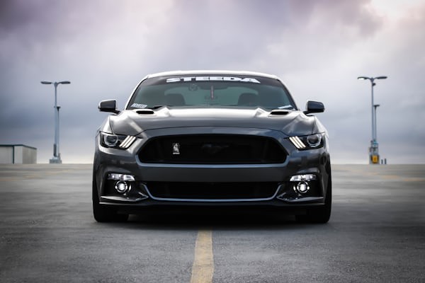 Car rental