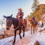 Park Ranger leading a tour
