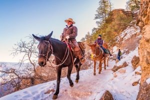 Park Ranger leading a tour