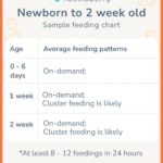 Newborn feeding chart showing average breastfeeding and formula feeding patterns for the first two weeks.