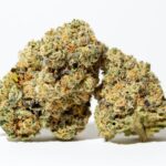 Close-up of cannabis flower being weighed on a scale, emphasizing precision in measurement