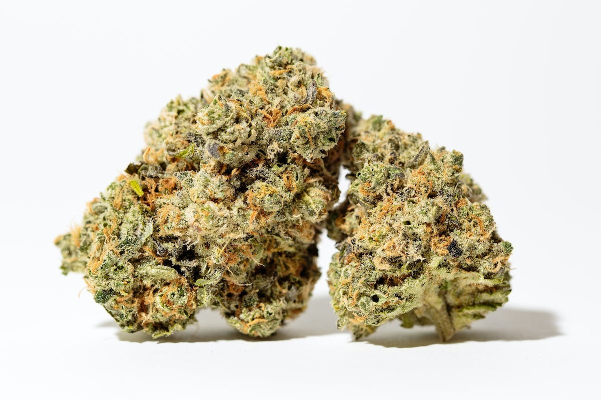 Close-up of cannabis flower being weighed on a scale, emphasizing precision in measurement