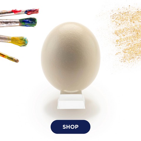 Ostrich eggs offer numerous health benefits due to their high protein, vitamin, and mineral content