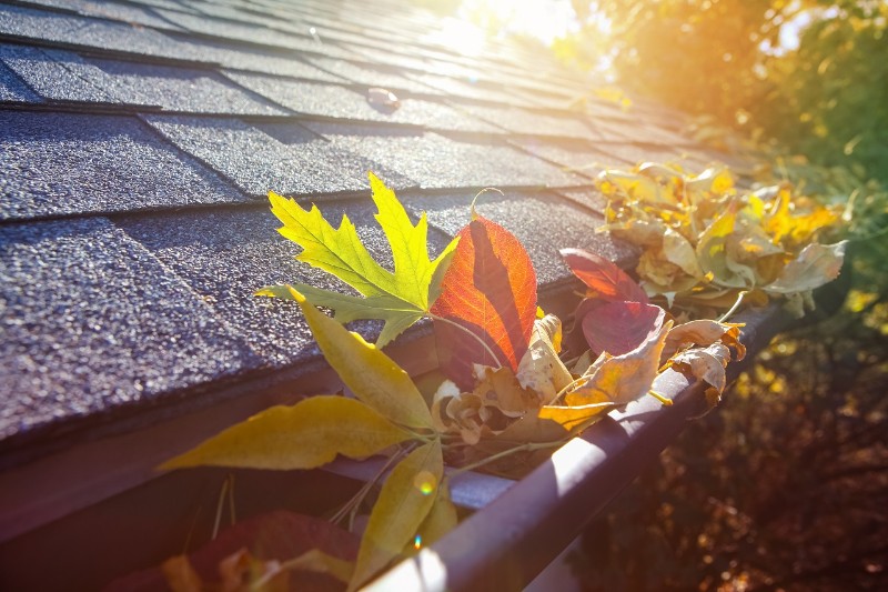 Clogged gutters filled with leaves