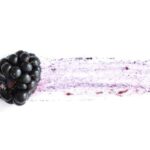 Food waste statistics
