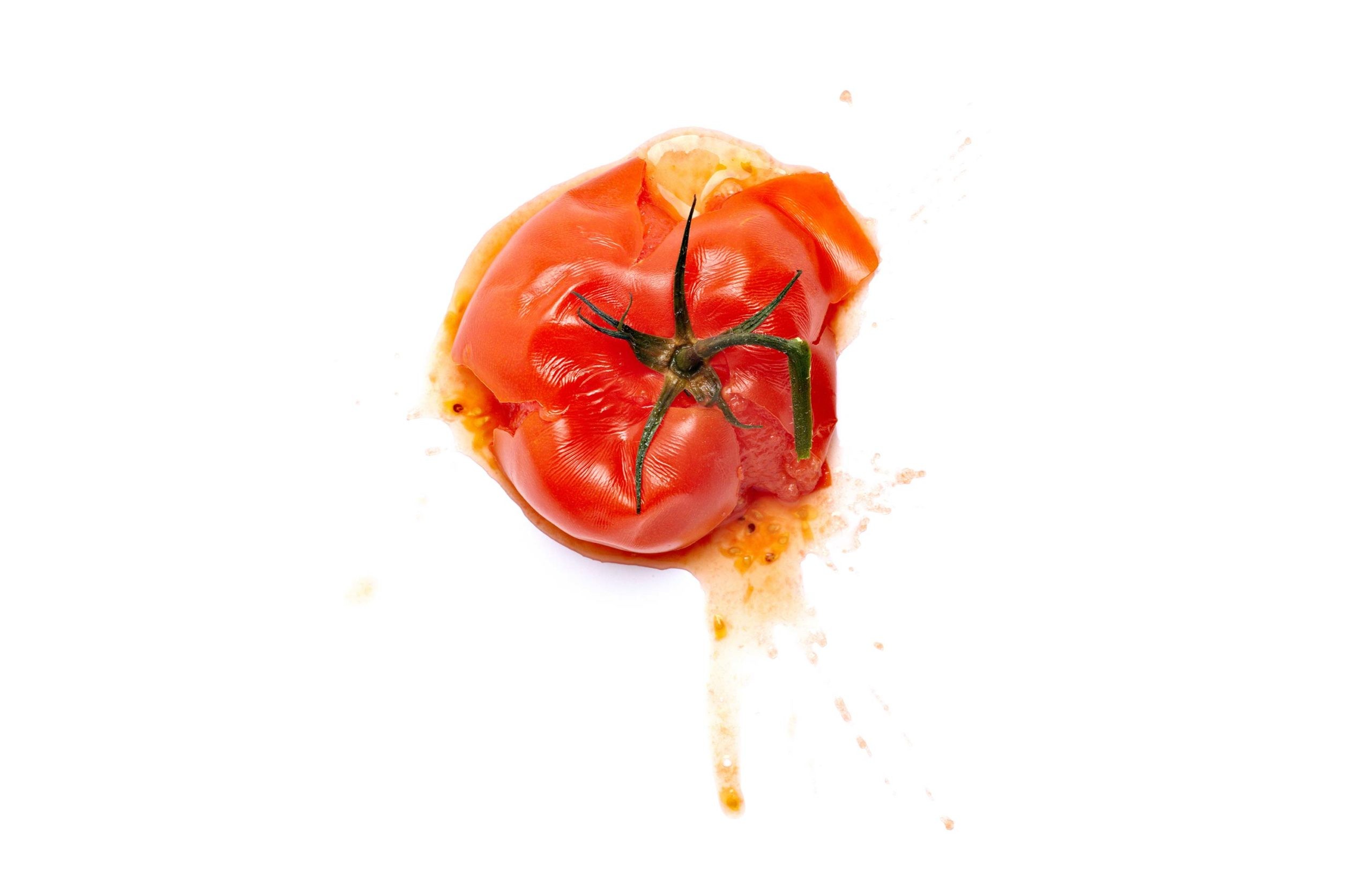 Reducing Food Waste at Home