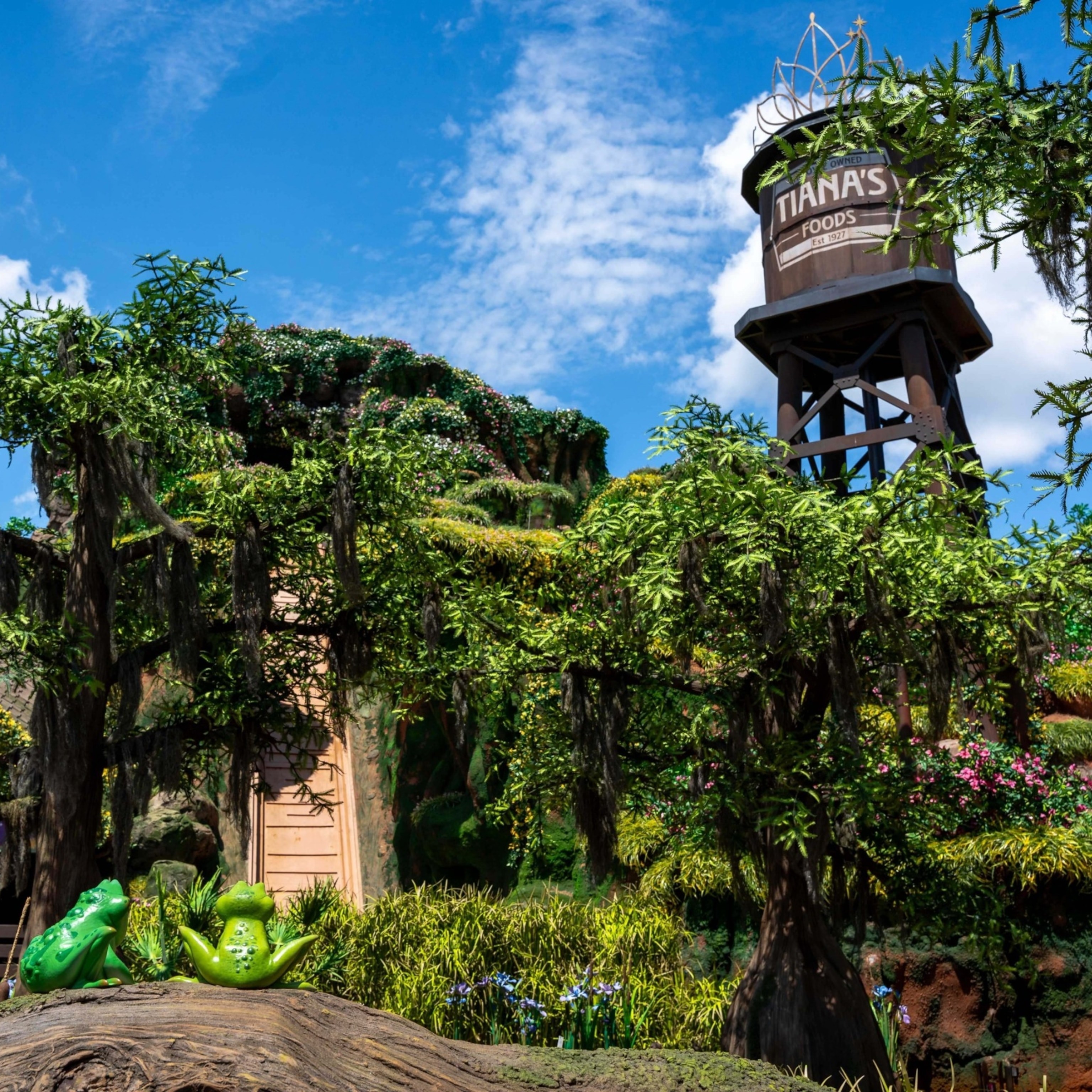 Tiana's Bayou Adventure ride at Disney World