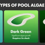 Types of Pool Shock