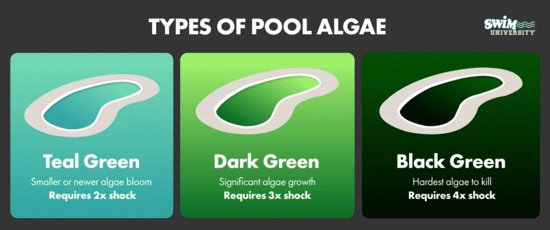 Types of Pool Shock
