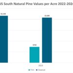 US-South-Natural-Pine-Values