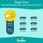 Pampers Preemie Diapers for Newborn