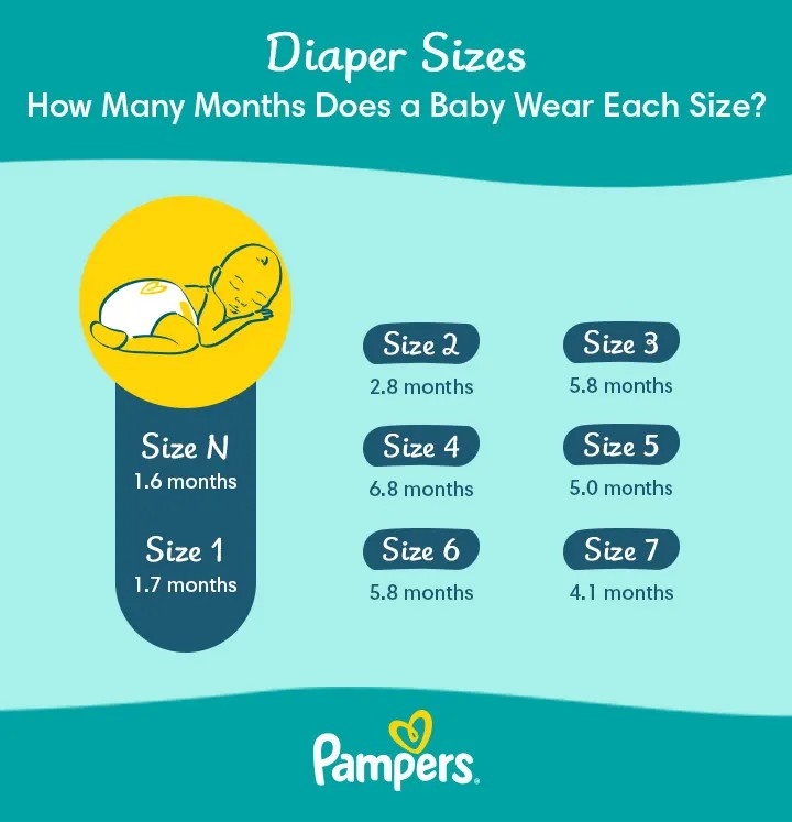 Pampers Preemie Diapers for Newborn