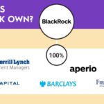 Infographic showing which companies are owned by BlackRock