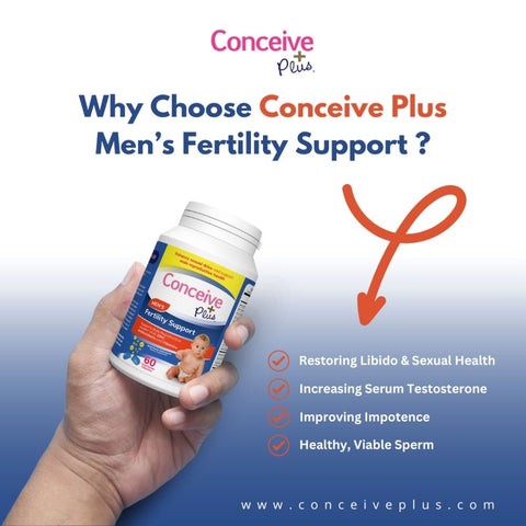 Zinc Supplement for Sperm Health